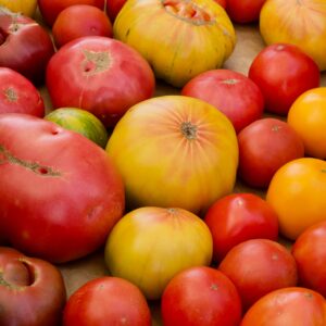 Close-up of colorful ripe heirloom tomatoes in various shapes and sizes.
